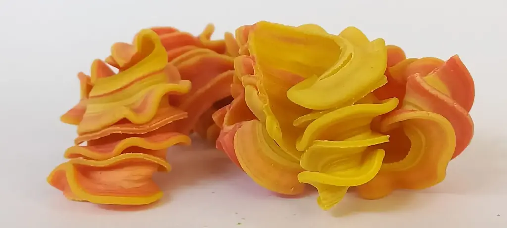 Maracuyá & Orange Pasta – For Vibrancy & Adventure