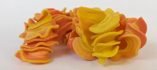 Maracuyá & Orange Pasta – For Vibrancy & Adventure